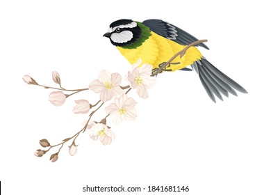Garden Tit Perching on Branch with Apple Blossom Vector Illustration