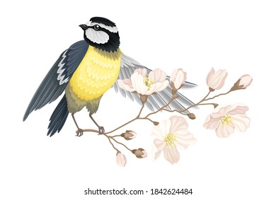 Garden Tit Perching on Branch with Apple Blossom Vector Illustration