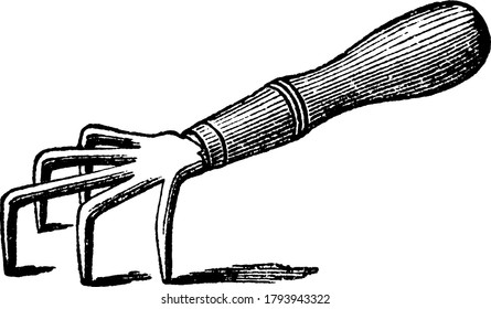 Garden tool with handle and five sharp tilted finger like hooks used for weeding in garden, vintage line drawing or engraving illustration.