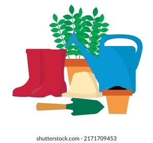 Garden tools against white background. Gardening. Plant in the pot.