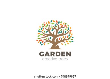 Garden Tree abstract Logo design vector template.