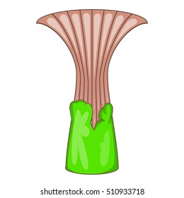 Garden tree icon. Cartoon illustration of garden tree vector icon for web