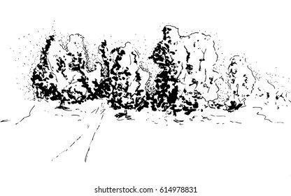 Garden tree on an isolated background.Sketch hand drawn 