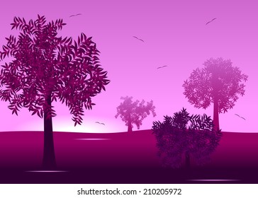 Garden with trees against pink the sky and birds.