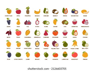 Garten und tropische Früchte, große Kollektion. Einstellung der Silhouettensymbole. Handgezeichnete Vektorkontur von Apfel, Birne, Pflaumen, Trauben, Pfirsich, Zitrone, Banane, Avocado, Kokosnuss, Papaya, Mango, Kiwi