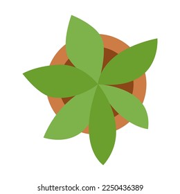 Garden tropical plant ceramic flower pot, furniture for outdoor plan. Vector illustration of patio and yard landscape element isolated on white. Architecture, design concept