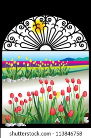 Garden Tulip