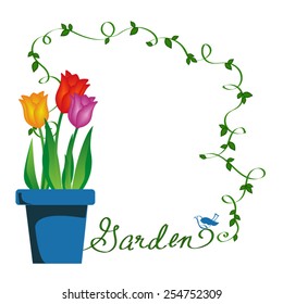 Garden tulip. Vector illustration
