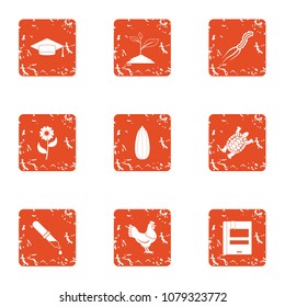 Garden university icons set. Grunge set of 9 garden university vector icons for web isolated on white background