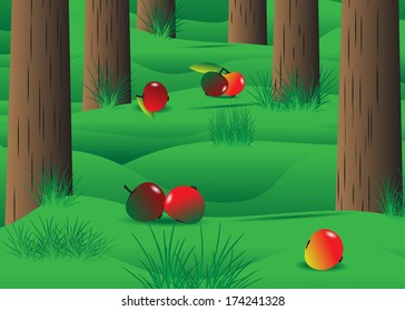 Garden. Unusual landscape, trunks of apple-trees and fruit on a grass.