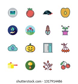 garden vector icon set