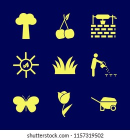 garden vector icons set. with butterfly, wheelbarrow, tulip and sun leaves in set