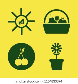 garden vector icons set. with flower pot, sun leaves, cherry and basket apple apricot pear in set