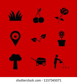 garden vector icons set. with wheelbarrow, sprout, flower pot and coffeeshop location in set