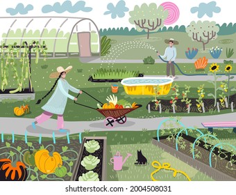 Garden, vegetable garden, agriculture. Vector illustration gardener watering garden beds, harvesting. Drawings for poster, background or postcard. We planted pumpkin, cabbage, tomatoes, zucchini. Cat.