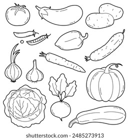 Garden vegetable collection. Carrots, cucumber, cabbage, potato . Vector hand drawn vegetables icons set. Simple outline illustration, isolated on white background
