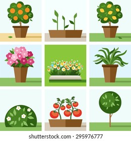 Garden, vegetable garden, flowers, trees, shrubs, flower beds, icons, colored. Colored flat icons, illustration with trees, shrubs, flowers, vegetable crops and seedlings. 