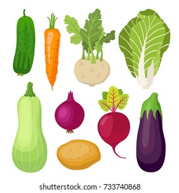 Garden vegetable set, cucumber, carrot, kohlrabi, cabbage, zucchini, onion, potato, beetroot, eggplant. Made in cartoon flat style. Vector illustration