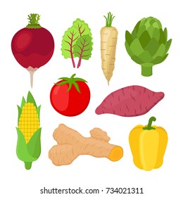 Garden vegetable set, radish, chard, artichoke, turmeric, tomato, bell pepper, sweet potato, corn. Made in cartoon flat style. Vector illustration