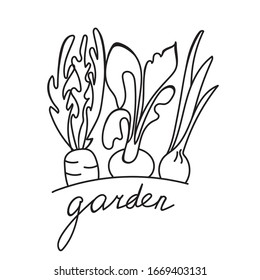 Dibujo manual de verduras planas vectoriales.Dibujo de dibujo del logo vegano estilo dibujo animado.