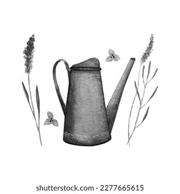 Garden watering can and lavender monochrome stylized watercolor. Vector illustration