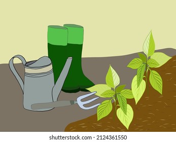 Garden watering can, rubber boots, hand shovel standing in garden soil. Seedling of vegetables. Green sprouts grow in the ground.