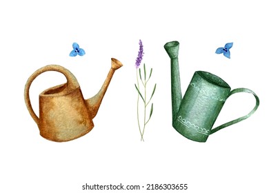 Gartenbewässerung kann gesetzt werden und Zwirnchen von Lavendel-Wasser-Farbe Zeichnung einzeln auf weißem Hintergrund. Vektorgrafik. 