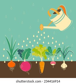 Garden watering concept with root veggies