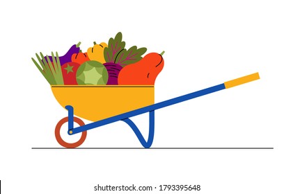 Garden weelbarrow full of vegetables. Flat vector illustration.