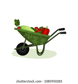 Garden wheelbarrow full of fresh vegetables. Healthy farm food. Organic products. Colorful flat vector design