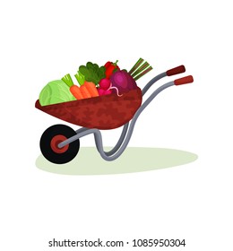 Garden wheelbarrow full of fresh vegetables. Crop from farm. Tasty and healthy food. Flat vector design
