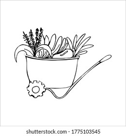 garden wheelbarrow with plants in vector doodle style. hand drawn illustration isolated on a white background