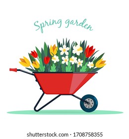 Garden wheelbarrow with spring flowers. flat
