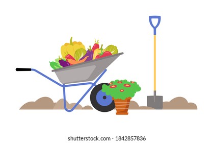 Garden wheelbarrow with vegetables. Garden theme, the concept of the crop. Vector flat trend illustration on white background.