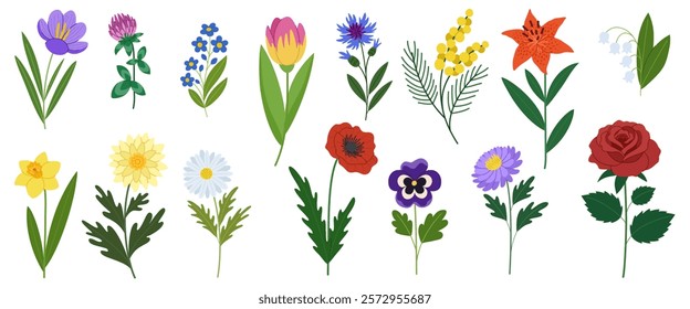 Garden and wild decorative flowers set. Rose, poppy, daffodil and other beautiful flowers collection. Spring and summer flowers on a white background.