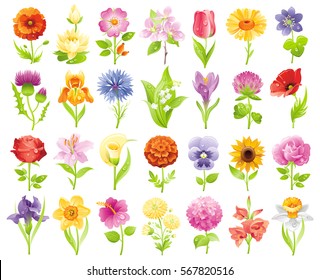 Garden wild flower icon set. Floral icons, summer spring flat symbol isolated white background. Easter Mothers day Birthday. Vector illustration. Rose lily daisy iris tulip poppy pansy crocus clover