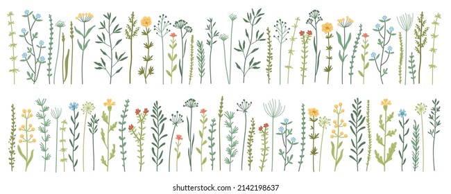 Garden and wild foliage, flowers, branches vector illustration. Wildflowers, herbs, leafs. Creative vector floral elements for postcard decoration packaging. Collection of wild meadow herbs, flowers