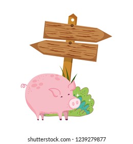 garden with wooden arrow signal and pig