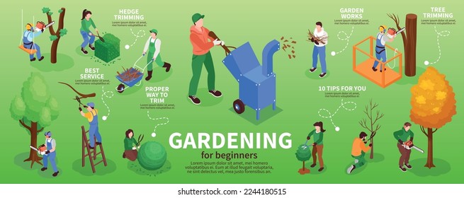 Garden workers infographic set with hedge trimming symbols isometric vector illustration