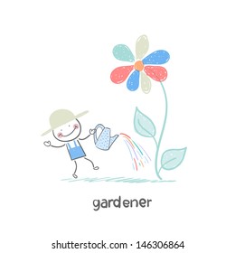 gardener