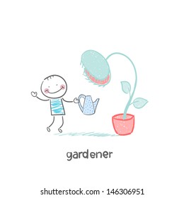 gardener