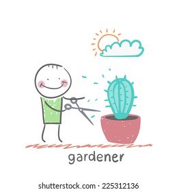 gardener 