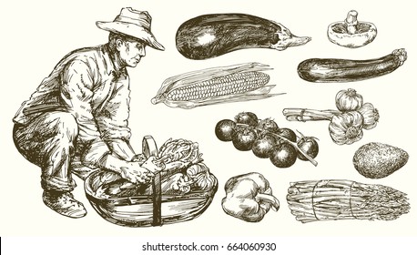 Gardener with a basket of harvested vegetables.