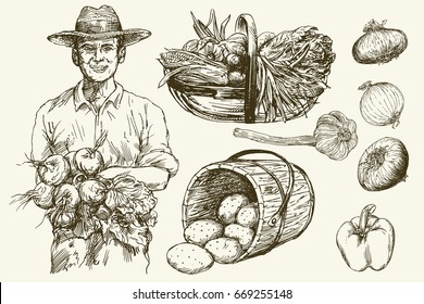 Gardener, basket of harvested vegetables. Hand drawn illustration.