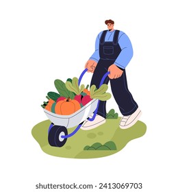 Gardener carries ripe vegetable by barrow. Farm worker rolls wheelbarrow with autumn harvest. Farmer growing organic pumpkin. Gardening, farming. Flat isolated vector illustration on white background