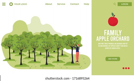 Gardener cartoon character works in family apple orchard, website design vector illustration. Landing page template, apple trees in summer garden, family business. Fruit orchard, work in countryside