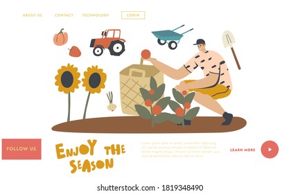 Gardener Character Harvesting Ripe Vegetables Landing Page Template. Man Farmer Working on Garden Bed Harvesting Tomatoes and Garlic in Basket, Farm Production on Ranch. Linear Vector Illustration