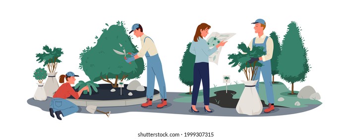 Gardener characters working and gardening, holding garden tools scissors shovel, tree sapling. People work in summer forest or park, grow plants vector illustration.