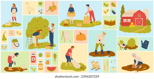 Gardener characters working on agriculture local production of harvest fruits and vegetables, farming square concept. Farmer people work in farm garden vector illustration set
