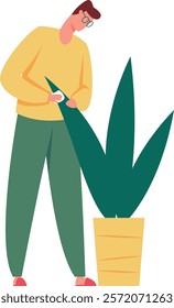 Gardener cleaning dust from houseplant leaves, wiping and spraying indoor plants, nurturing greenery in an apartment, and enjoying the rewarding hobby of plant care and maintenance